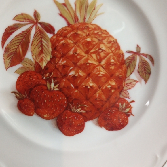 Set of 2 Vintage Fruit & Nut Designs Plates Winterling Roslau Bavaria Germany - Picture 3 of 10